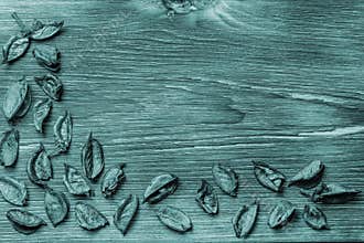 Beautiful monochrome toned original elegant floral wood background flatlay silver blue green color with dried flowers with copy sp