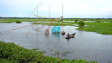 Fishermen are fishing in the bill or lake with big nets. Traditional village fishing in Bangladesh