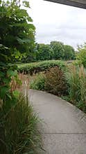 Garden path leading to a gate