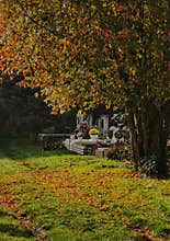 Cemetery in fall foliage