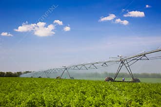 Irrigation in Field / agriculture