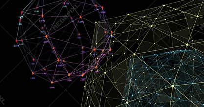Globe of arrows and Globe of Network of connections