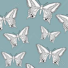 Butterfly seamless patter