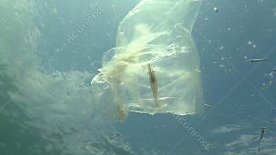 Plastic bag in the sea, killing shrimp. Plastic trash, pollution