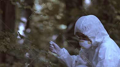 Scientist examining trees after acid rains, ecosystem surveys, sediment control