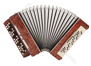 Brown bayan (accordion) isolated