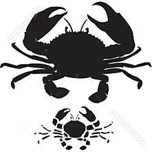 Crab