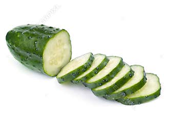 Cucumber