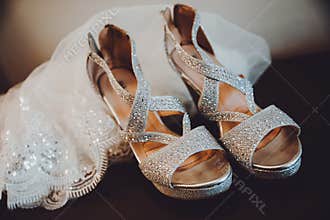Bridal shoes and Veil