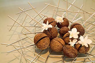 Brown Nuts