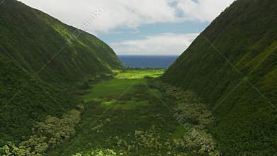 Idyllic view of hawaii mountains and green field between it with small narrow river, ocean on the horizon