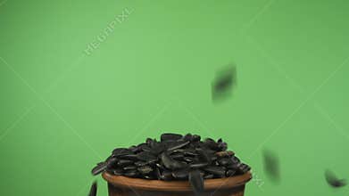 Sunflower seeds fall into a crowded clay bowl and fall out of it. Isolated on a green screen.