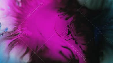 Ink drop paint splatter in water pink blue black