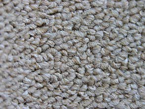 Carpet study