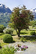 Norway - Beautiful View -Garden -