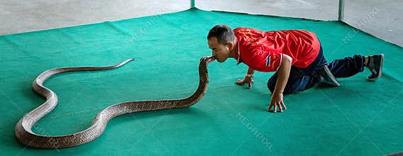The snake show, the real poison flows out of the fangs.