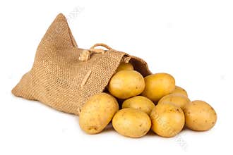 Potato bag
