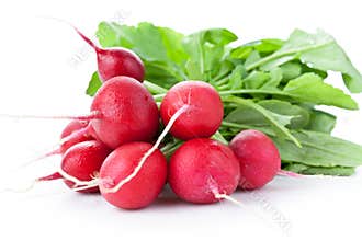 Radish Bunch