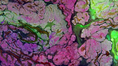 Abstract Colorful Paint Ink Explode Diffusion Psychedelic Blast Movement.