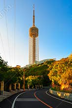 The TV Tower