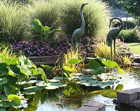 Serene Pond Garden