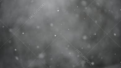 Snow is falling on a beautifully blurred background, snowflakes are flying