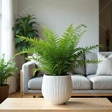 Stylish home interior with green birds nest fern plant in white pot on wooden table. Modern living room decor featuring Asplenium