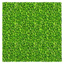 Green grass field background. Texture of green lawn grass. Green grass seamless texture