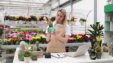 Florist Working at Counter in Shop