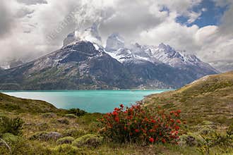 Cuernos del Paine Lookout, Patagonia, Chile.