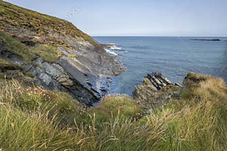 Crackington Haven cliff view of coastline