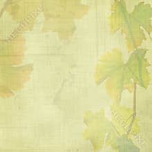 Autumn leaves background
