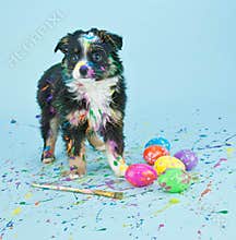 Coloring Easter Eggs