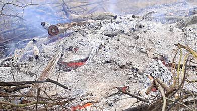 Burning wood slowly turning into embers and ashes.