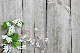 Spring tree blossoms and wood hearts border wooden fence