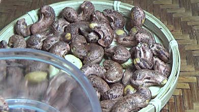 cashew nut scene, cashew shelling