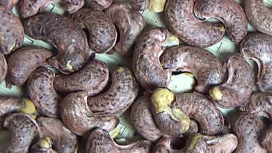 cashew nut scene, cashew shelling