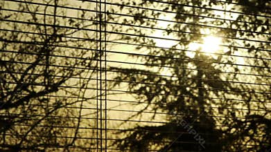 Closing and opening jalousie on lovely sunset sunrise