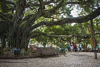 Florianópolis/SC - Brazil