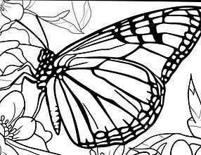 you can print it on standard 8.5x11 inch papera simple and fun coloring page featuring a cartoon butterfly and flowers