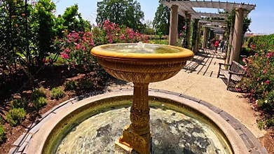 footage of a water fountain with lush green trees and colorful flowers at Huntington Library and Botanical Gardens in San Marino