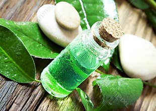 Essential Oil Bottle.Tea Tree Essence