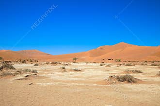 Namib Desert is surrounded by the world\'s highest dunes. It lies in the middle of the world\'s oldest desert