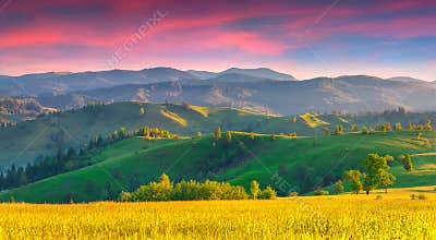 Colorful summer sunrise in the Carpathian mountains