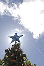 Christmas Star