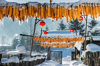 Snow in China
