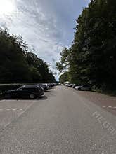 Parking Lot with Cars Surrounded by Trees and Woodland in Amsterdam Forest