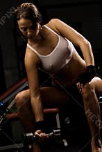Fitness model