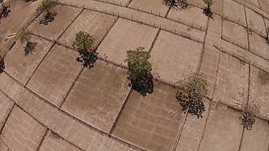 Livestock Auction Yards Aerial View
