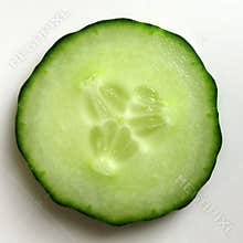 Cucumber